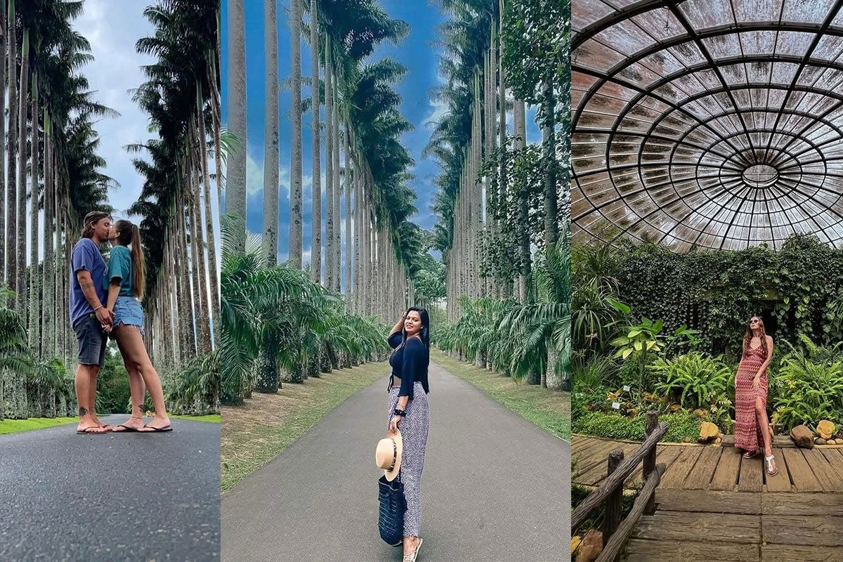 Kandy Culture & Botanical Gardens Day Tour from Colombo, Sri Lanka